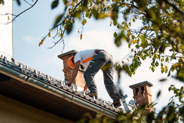 Best Gutter Installation and Roofing  in Mount Ivy, NY