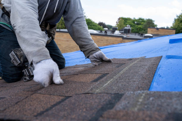 Best Storm Damage Roof Repair  in Mount Ivy, NY