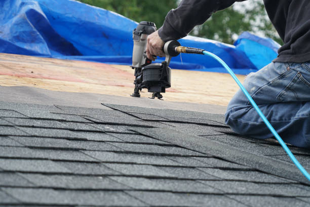Best Roof Gutter Cleaning  in Mount Ivy, NY